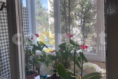 Apartament de vanzare in Grigorescu Apartament de vanzare in Grigorescu - 3