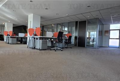 Spațiu comercial, de 367.10000610352 mp, în Timpuri Noi - 2