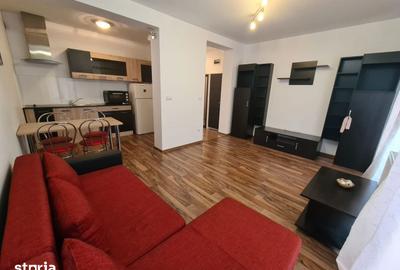 Apartament cu 2 camere semidecomandat în Buziașului - 11