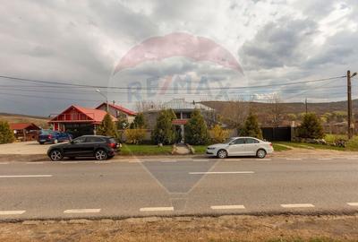 Casă cu 7 camere cu Teren 1020 Mp în Vest - 19