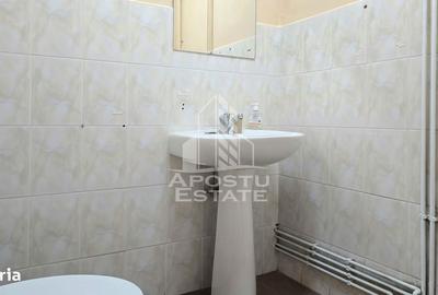 Spațiu comercial, de 250 mp, în Iosefin - 2