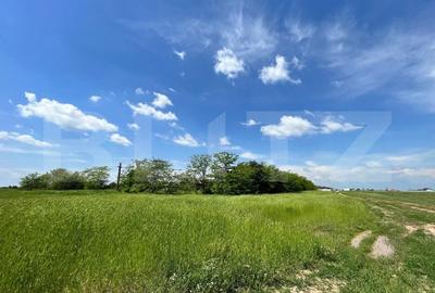 Teren Construcții intravilan de 4444 mp, în Aeroport - 2