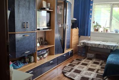 Proprietar vand garsoniera calea buziasului - 6