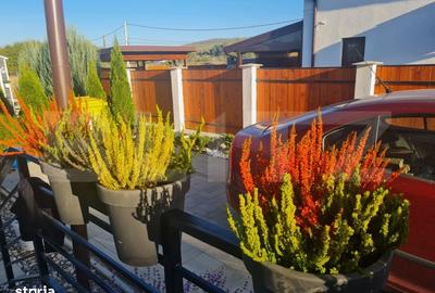 Casă cu 3 camere cu Teren 250 Mp în Central - 2