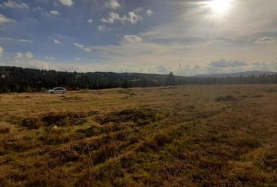 Teren, 1000 mp, intravilan, utilitati, zona Beli? - 1