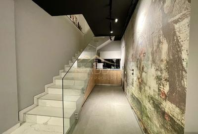 Duplex 3 camere//Birou***Showroom***DOMENII//PARTER+ Demisol - 12