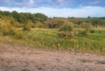 Spațiu comercial, în Gepiu - 2