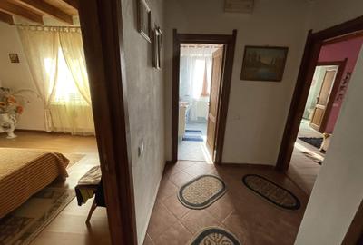 Vila P+M, an 2021, teren 3600 mp, D=50 m, Brancoveni - 13