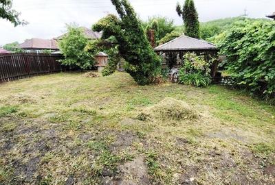 0% Comision! Casa P+E, teren 1681 mp, 2 fronturi, la asfalt, in Suceag - 9