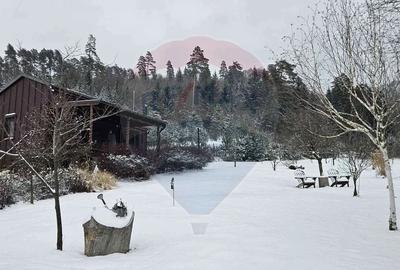 Casă cu 2 camere cu Teren 3100 Mp în Tărlungeni - 18