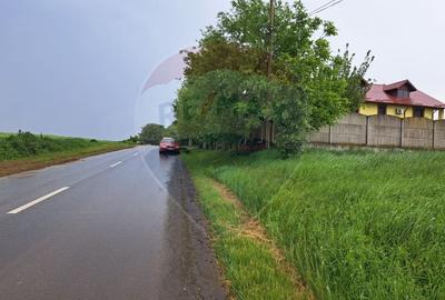 Teren Construcții intravilan de 15000 mp, în Ciolpani - 5