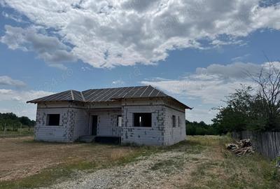 Casă cu 4 camere cu Teren 4174 Mp în Slătioarele - 8