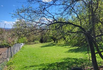 Vand 2 case batranesti Musetesti Gorj Vand 2 case batranesti Musetesti Gorj - 1