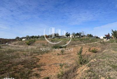 Teren de 3961 mp, în Paleu - 2