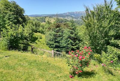 Casă individuală cu 7 camere cu Teren 725 Mp în Drumul Carului - 46