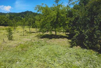 Casă cu 6 camere cu Teren 2135 Mp în Ilteu - 4