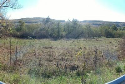 Teren extravilan de vanzare in Vultureni Cluj - 2