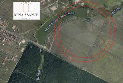 Dumbravita Lac Teren | 146.000mp PUZ Aprobat -CARTIER LUX- 155 PARCELE - 3