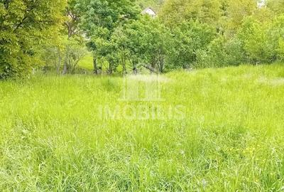 Teren Construcții intravilan de 994 mp, în Budiu Mic - 7