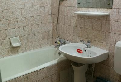 Colentina spa?iu de inchiriat vad foarte bun - 3