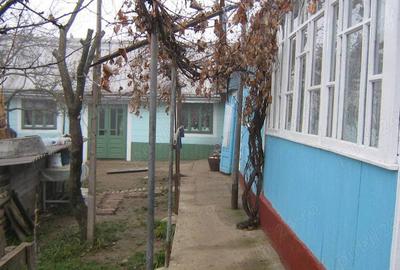 De vanzare casa ?i gradina - 3