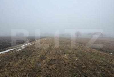 Teren de 2500 mp, în Pătrăuți - 3