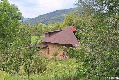 VANZARE ANSAMBLU CASUTE BRADULET ARGES - 19