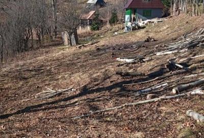 Cabana de vanzare la Muntele Baisorii - 3