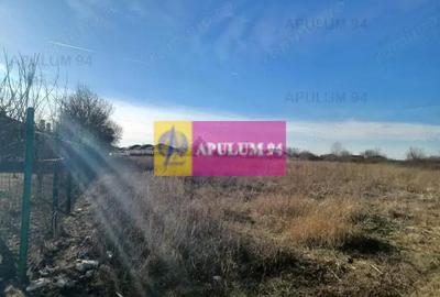 Sabareni, teren 6200 mp, construibil, cu utilita?i - 3