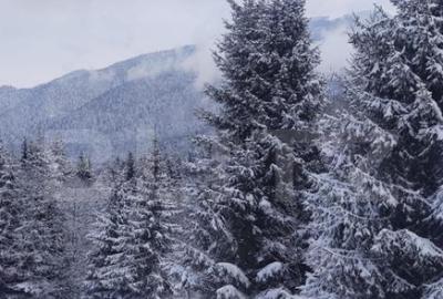 Studio cochet Predeal mobilat, utilat, vedere superba! - 2