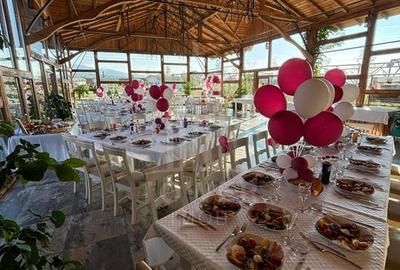Închiriere Spațiu Comercial - Restaurant - Valea Avrigului - 2
