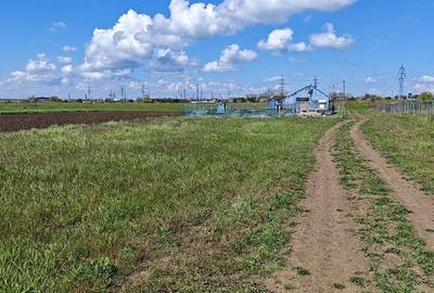 Teren de 500 mp, în Periferie