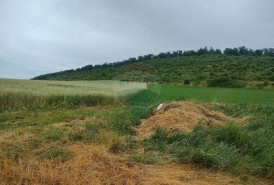 Teren de 18200 mp, în Reghin