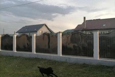 Vila noua (2023) P+M zona 1 Mai - 3