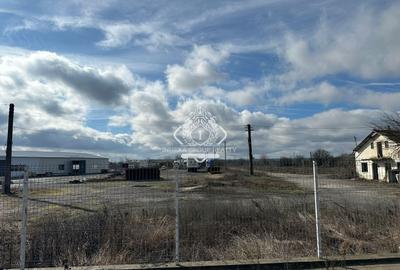 Teren Construcții intravilan de 39581 mp, în Dragomirești - 2