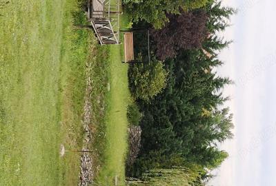 Vila 16 camere si 3 ha teren intravilan - 2