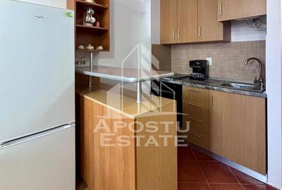 Apartament cu 2 camere în Șega - 5