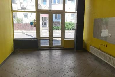 Spatiu comercial Pictor Aman - 4