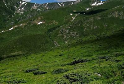 Teren de 185000 mp, în Padeș