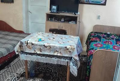 Casă cu 3 camere cu Teren 1600 Mp în Zau de Câmpie - 11