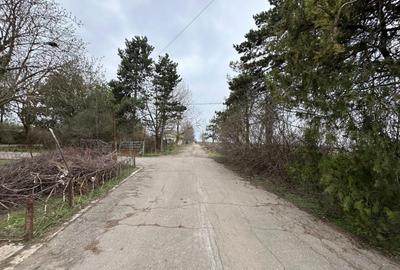 Teren Construcții intravilan de 37 mp, în Mogoșești - 3