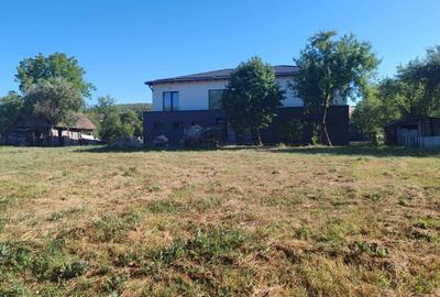 Duplex de vanzare, 180 mp utili, 1600mp curte, Dabaca - 6