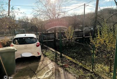 Carbunesti, Prahova - 20