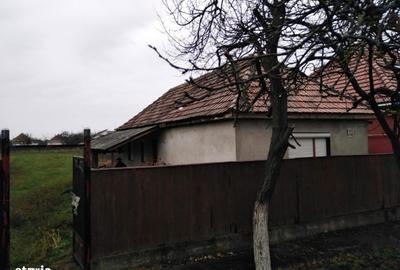 Casă cu 4 camere cu Teren 2804 Mp în Central - 2