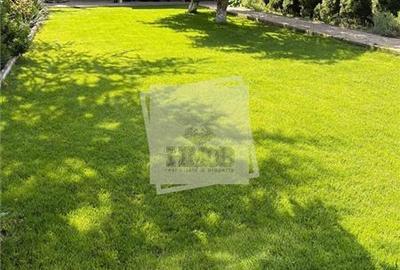 Casă individuală cu 5 camere cu Canalizare în Valea Aurie - 1