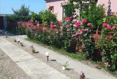 Casă în Osica de Sus - 3