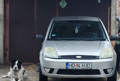Casă cu 2 camere în Petros - 4