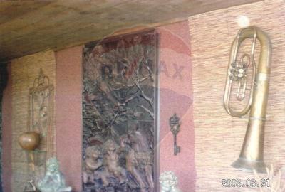 Vanzare Casa-Conac boieresc stil Baroc cu teren in Stoenesti, jud Olt - 58