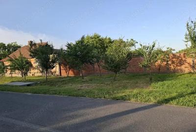 Casa pentru demolare/renovare in Nadlac cu teren 616mp - 3