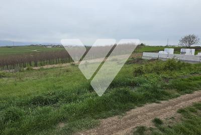 Teren Construcții intravilan de 536 mp, în Șura Mare - 2